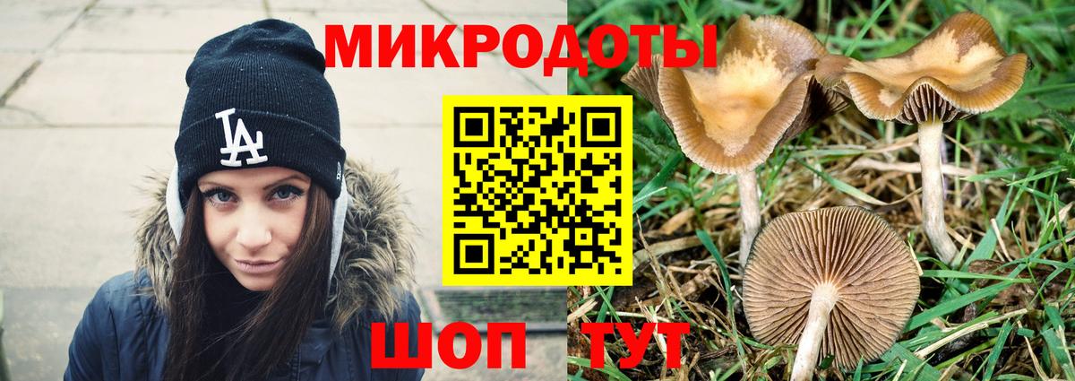 Псилоцибиновые грибы Psilocybine cubensis Абакан